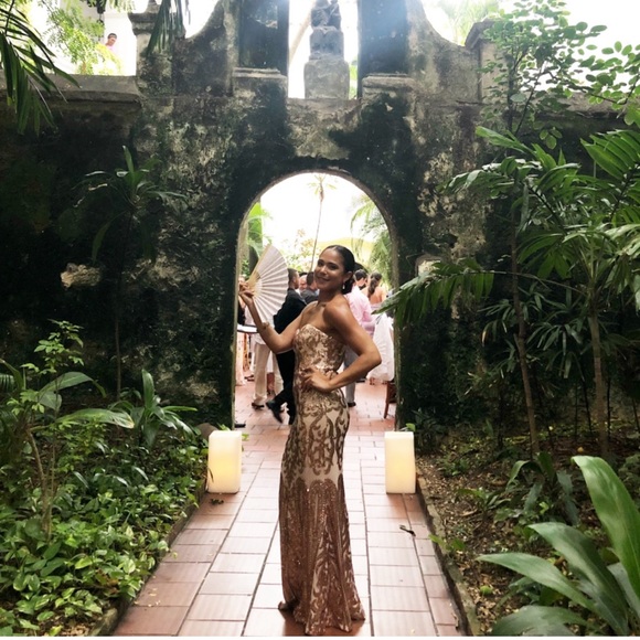 Bariano Rebecca Rose Gold Strapless Sequin Maxi Dress - Picture 10 of 10